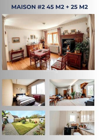 Ensemble 2 Maisons Centre Ville Montoire sur-le-loir - 41800