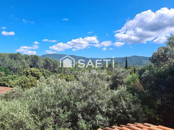 PIGNANS - MAISON TRADITIONNELLE DE 225M2 COMPOSEE DE 3 APPARTEMENTS, PISCINE, TERRAIN DE 4556M2