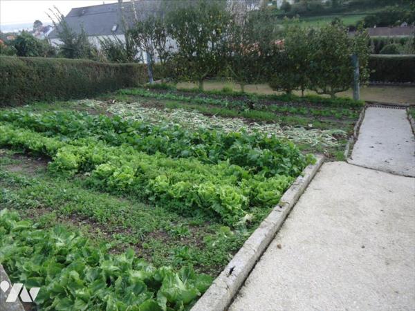 TERRAIN A BÂTIR EQUEURDREVILLE DE 269m²