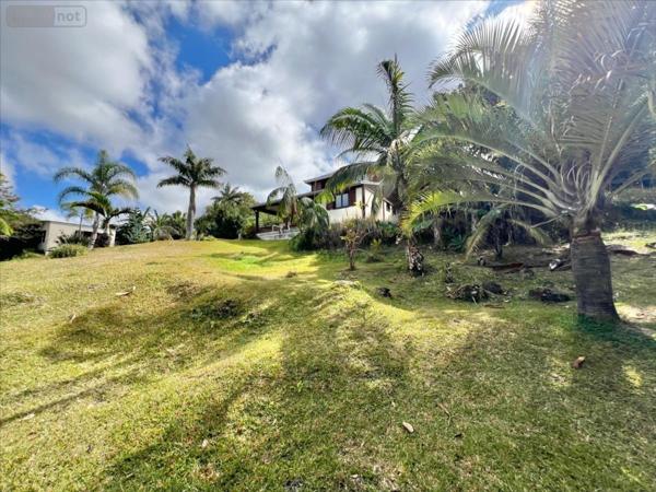 Maison individuelle à vendre à Le Tampon à la Réunion (97430), ref : 36744