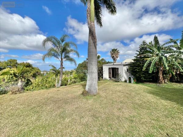 Maison individuelle à vendre à Le Tampon à la Réunion (97430), ref : 36744