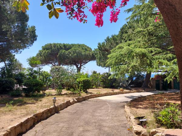 8 pièces 298,47 m2 et 2000m2 de terrain route des sanguinaires villa vue mer  Ajaccio (20000)