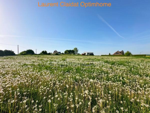 TERRAIN À BÂTIR À FONSOMME - 4834M2