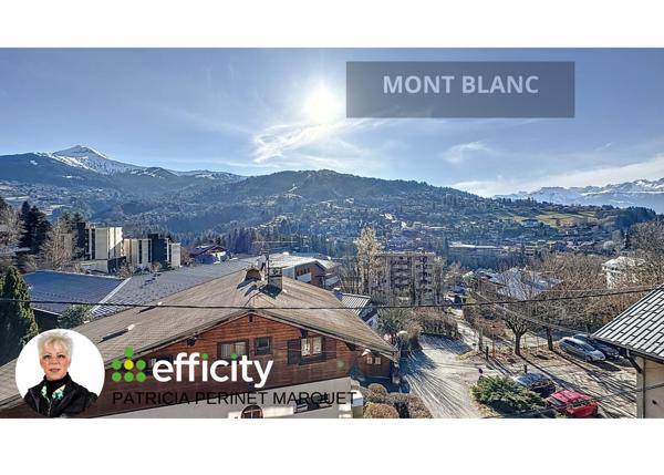 Maison 9 pièces - 313 m² Bien prestige