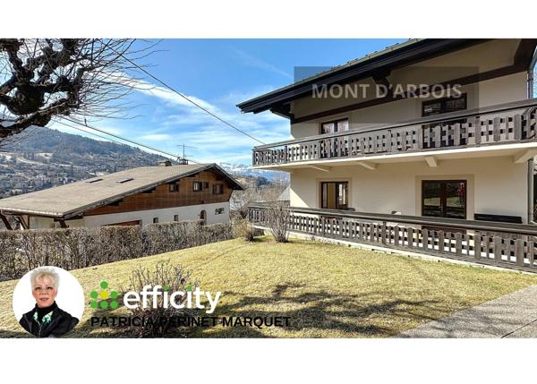 Maison 9 pièces - 313 m² Bien prestige