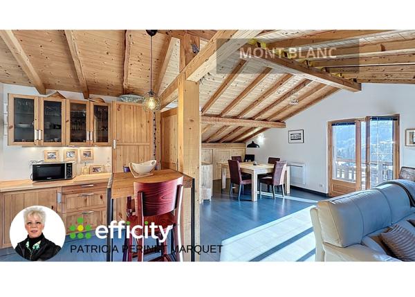 Maison 9 pièces - 313 m² Bien prestige