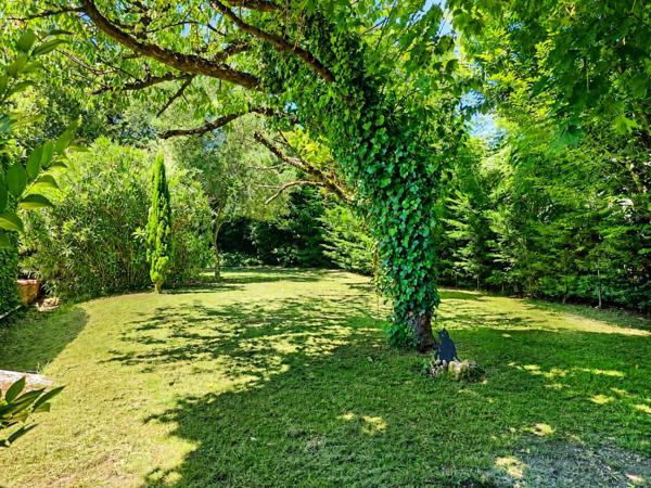 Maison au cœur de Châteauneuf : demeure rare, élégante et hors du commun