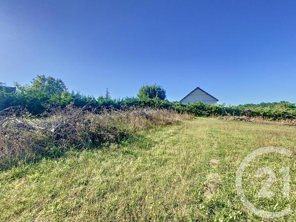 terrain à vendre  1500 m2 ESPINASSE VOZELLE - 03