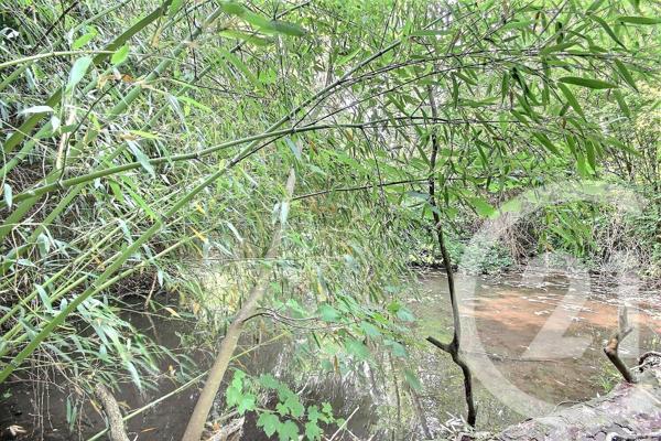 Maison à vendre  7 pièces - 240 m2 LA CHAUSSEE ST VICTOR - 41