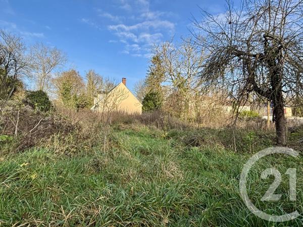 Terrain à vendre  1398 m 2   CHALETTE SUR LOING  - 45
