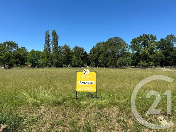 Terrain à vendre  1398 m 2   CHALETTE SUR LOING  - 45