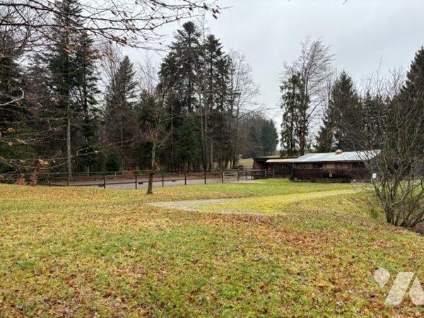 A VENDRE PROPRIETE FERME CHEVAUX EQUESTRE

Propriété / Ferme comprenant : 
- sous-sol : cave...