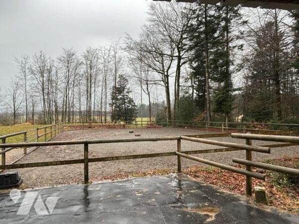 A VENDRE PROPRIETE FERME CHEVAUX EQUESTRE

Propriété / Ferme comprenant : 
- sous-sol : cave...