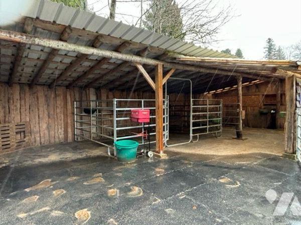 A VENDRE PROPRIETE FERME CHEVAUX EQUESTRE

Propriété / Ferme comprenant : 
- sous-sol : cave...