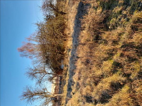 Terrain à vendre |  Buzançais |  1078 m²