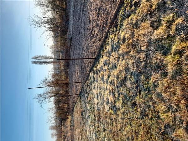 Terrain à vendre |  Buzançais |  1078 m²