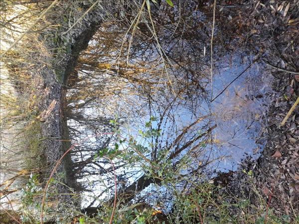 Terrain à vendre |  Buzançais |  1078 m²