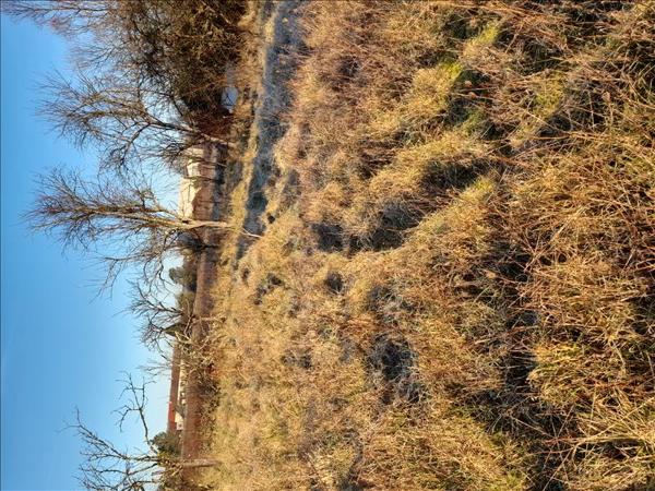 Terrain à vendre |  Buzançais |  1078 m²