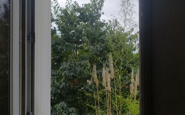 Appartement à vendre    1 pièce •  Pau