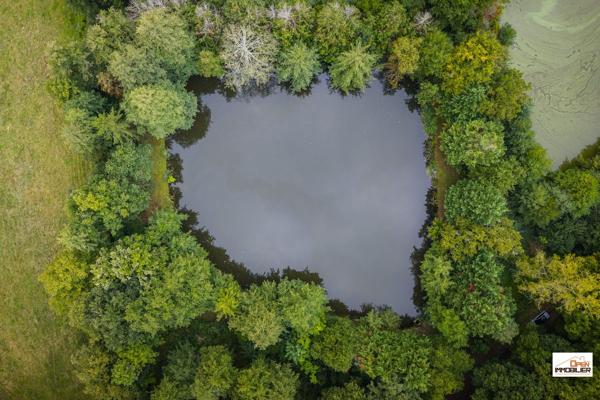 ETANG