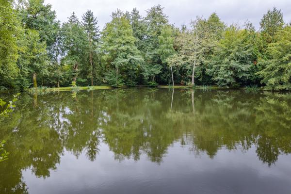 ETANG