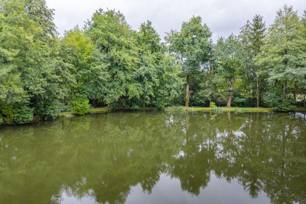 ETANG