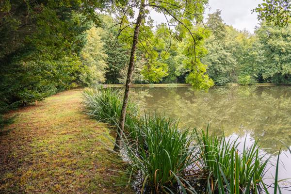 ETANG