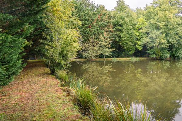 ETANG