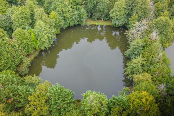 ETANG