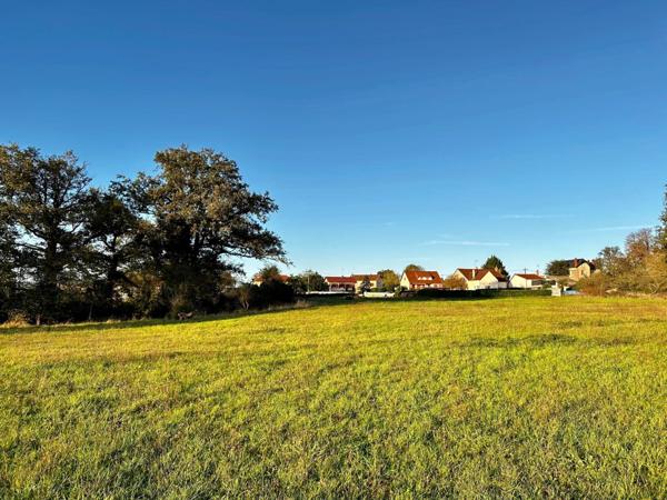 Vente Terrain 9388 m2 à Saint-Germain-Chassenay