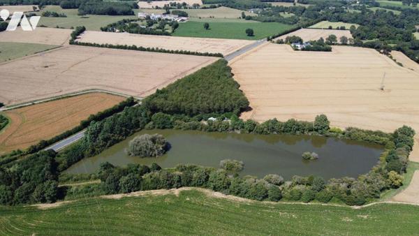 Aux portes de CHATEAU GONTIER !!!
Magnifique étang poissonneux d'environ 2,5 Hectares d'eau, i...