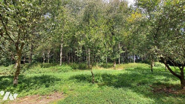 Aux portes de CHATEAU GONTIER !!!
Magnifique étang poissonneux d'environ 2,5 Hectares d'eau, i...