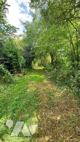 Aux portes de CHATEAU GONTIER !!!
Magnifique étang poissonneux d'environ 2,5 Hectares d'eau, i...
