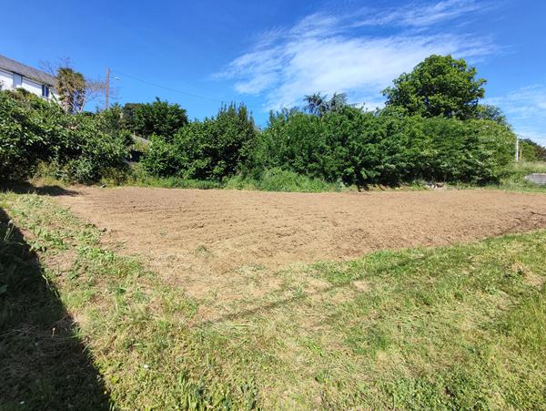 Terrain Saint Pierre Montlimart 1280 m2