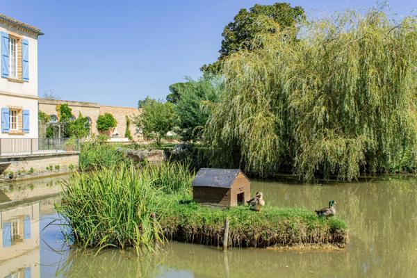 Magnifique domaine en Tarn-et-Garonne avec maison de maître, piscine chauffée et propriété équestre