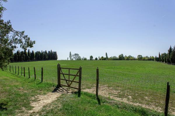 Magnifique domaine en Tarn-et-Garonne avec maison de maître, piscine chauffée et propriété équestre