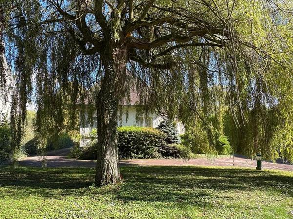 A VENDRE Secteur recherché AMILLY - SPACIEUSE MAISON, PISCINE, JARDIN, ACCES  PRIVATIF AU CANAL DE BRIARE