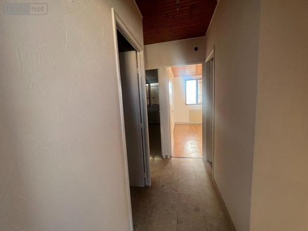 Maison individuelle à vendre à Perpignan dans les Pyrénées-Orientales (66000), ref : 66018/1-VI