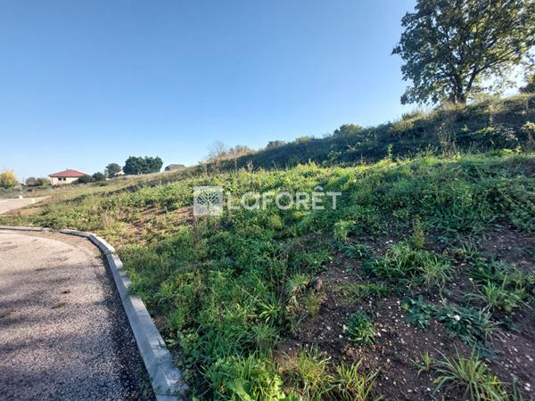 Achat terrain Kœnigsmacker - 634 m² - 184 000 €