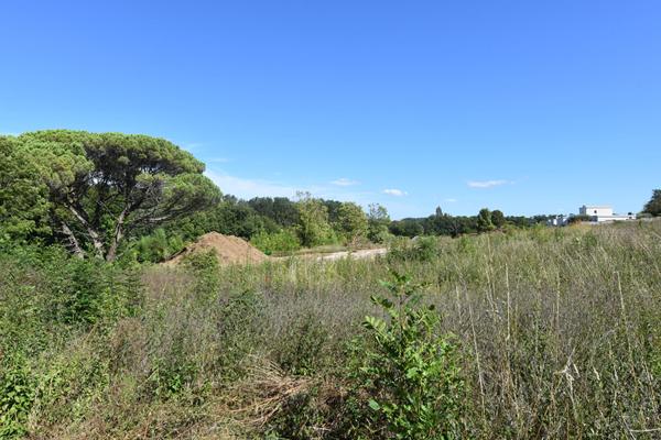 17640 VAUX SUR MER TERRAIN PONTAILLAC/VAUX SUR MER