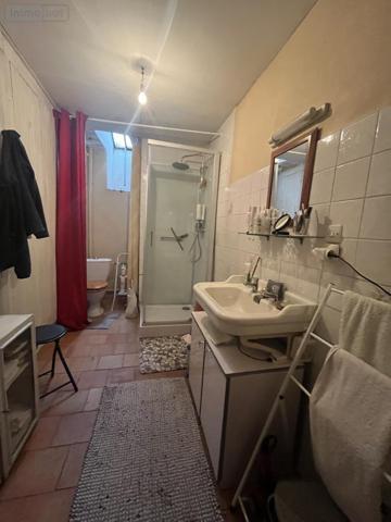 Maison à vendre à L'Île-Bouchard dans l'Indre-et-Loire (37220), ref : 37060-2307