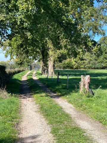 Maison et grandes granges et 54000 m2 de terrain avec étang