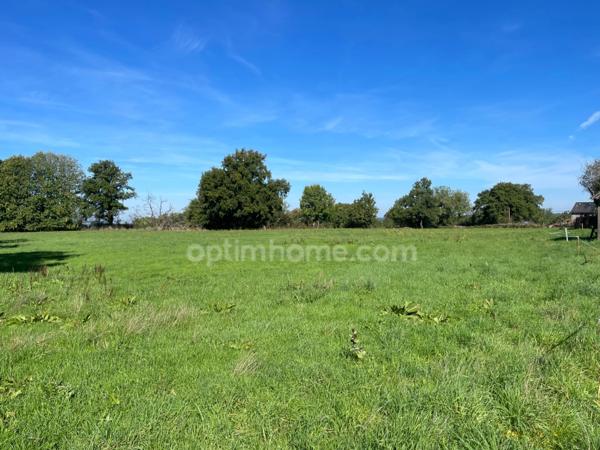 Maison et grandes granges et 54000 m2 de terrain avec étang