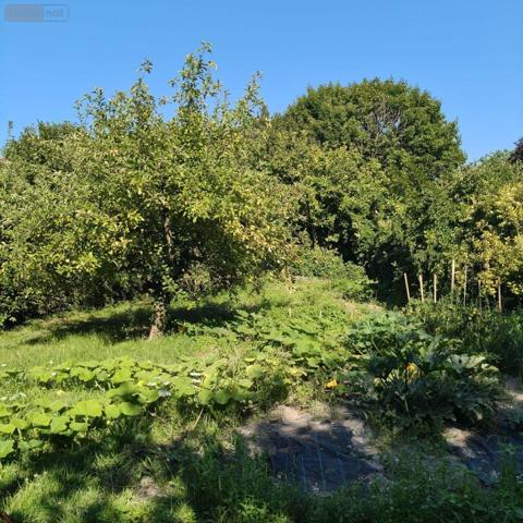 Maison individuelle à vendre à Saint-Parres-lès-Vaudes dans l'Aube (10260), ref : 1036102/5689