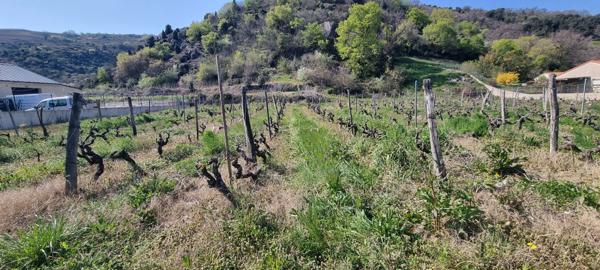 Sarras (07370) Terrain à bâtir - Silon Sarras