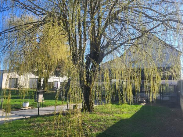 PROPRIETE HAUT DE GAMME avec 2 MAISONS, GARAGES, PISCINE CHAUFFEE, PERGOLA  BIOCLIMATIQUE, SPA sur 2.615 m² - A 120 kms de PARIS, 23 kms d'EPERNAY, 20 kms de VERTUS