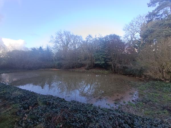 Propriété calme absolu sur près de 5 hectares de terres