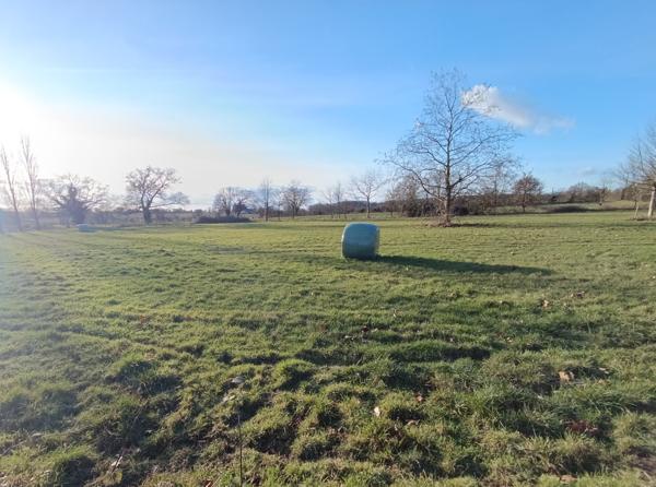Propriété calme absolu sur près de 5 hectares de terres