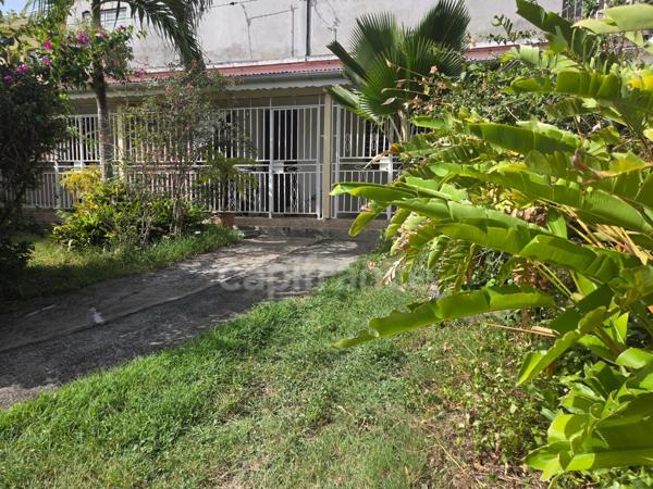 Propriété rare avec maison + 3 logements indépendants – 1850 m² constructible – Basse-Terre centre