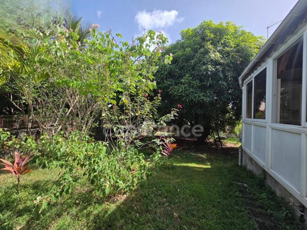 Propriété rare avec maison + 3 logements indépendants – 1850 m² constructible – Basse-Terre centre
